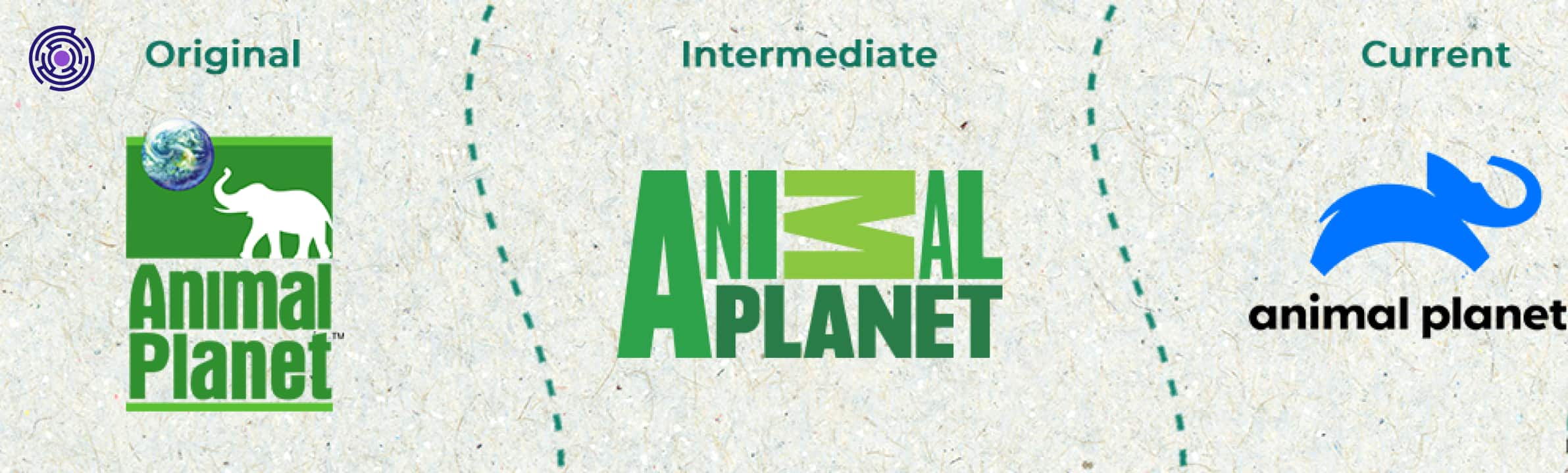 logo-chinh-giua-la-that-bai-lon-cua-animal-planet-trong-viec-thay-doi-thuong-hieu